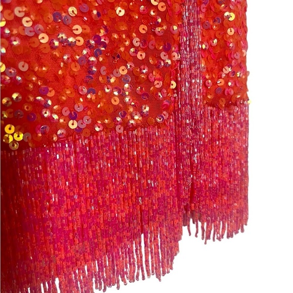 Fully Beaded Long Sleeve Cocktail Dress with Fringe Trim|Ashley Lauren|Size 6 - Picture 5 of 5